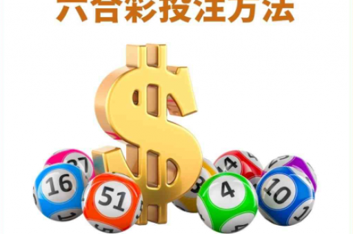 什么软件可以买世界杯(世界杯正规购彩软件推荐与官方体彩说明)