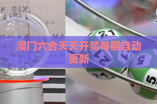 澳门六合天天开奖每期自动更新