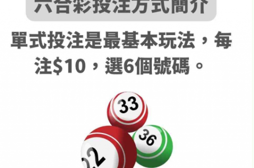澳门六合彩记录丨236969