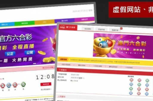 澳门六合彩记录丨236969